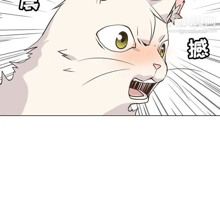 野性之城 - 第88话 - page 39