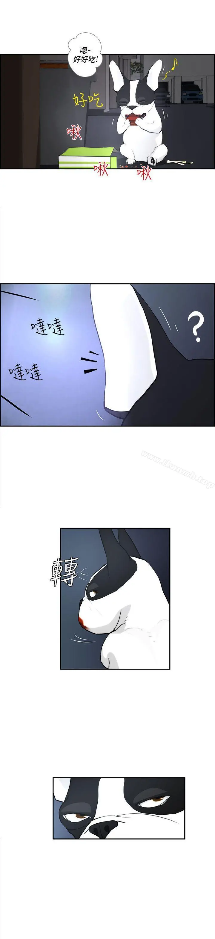 变成狗的男人 - 第3话 - page 13