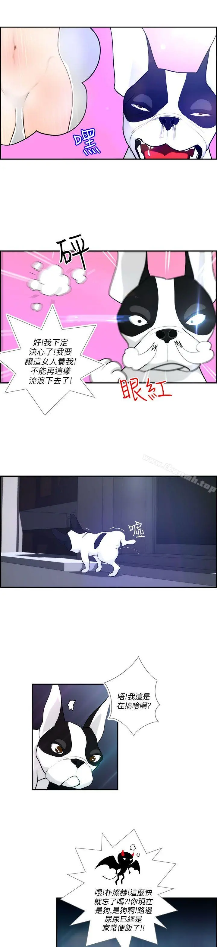 变成狗的男人 - 第4话 - page 5