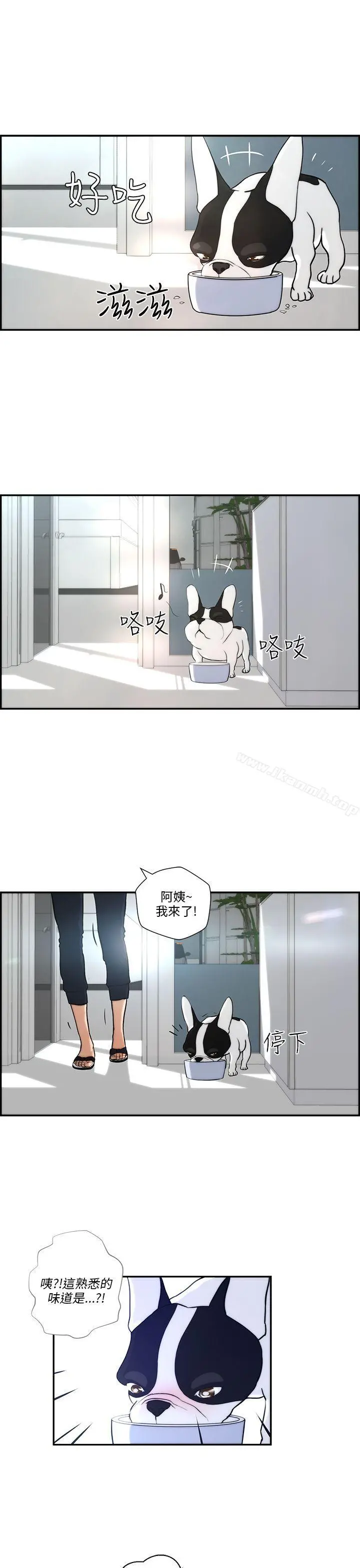 变成狗的男人 - 第4话 - page 21