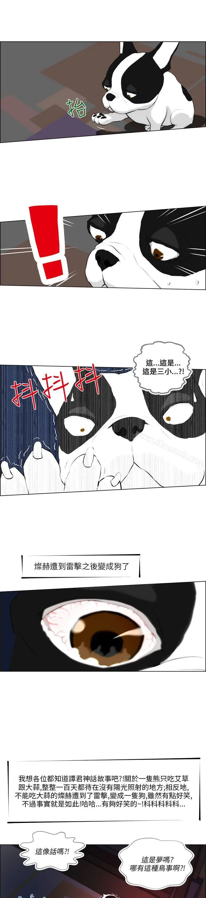 变成狗的男人 - 第2话 - page 19