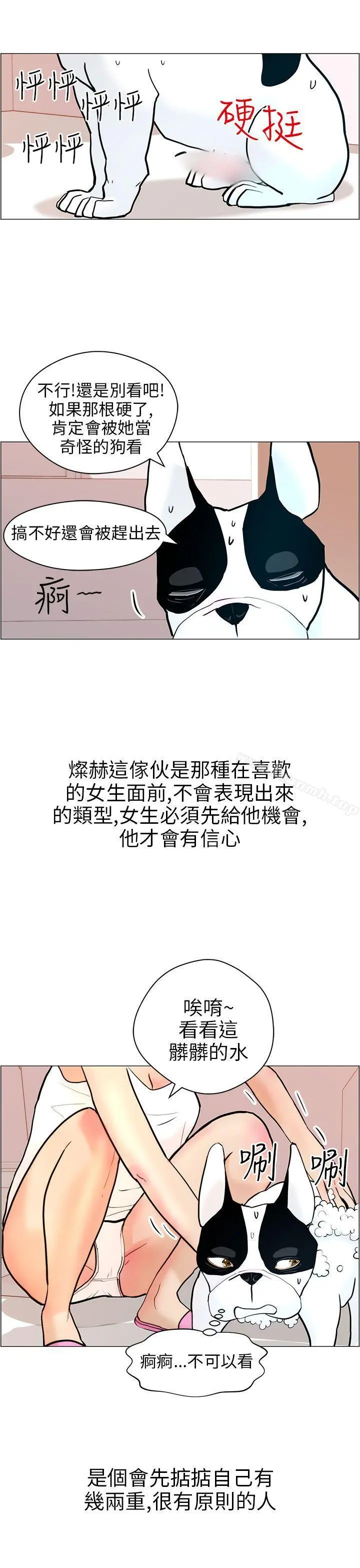 变成狗的男人 - 第9话 - page 15