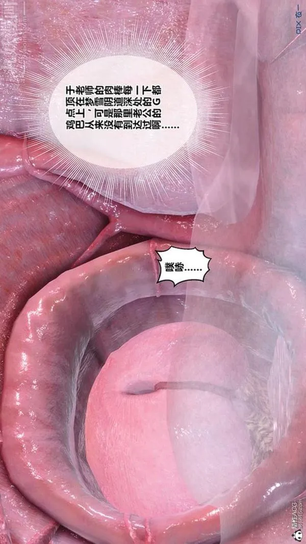 [3D]秘密番外-陈梦雪篇 - 第02章-04坠落之华 - page 12