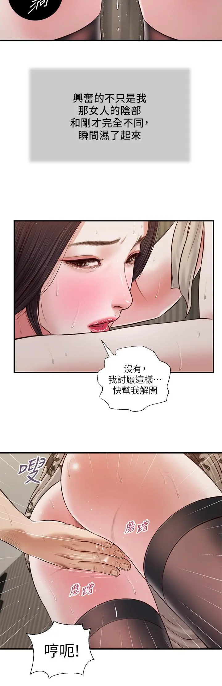 小妾 - 第73话-越来越猛烈的抽插 - page 11