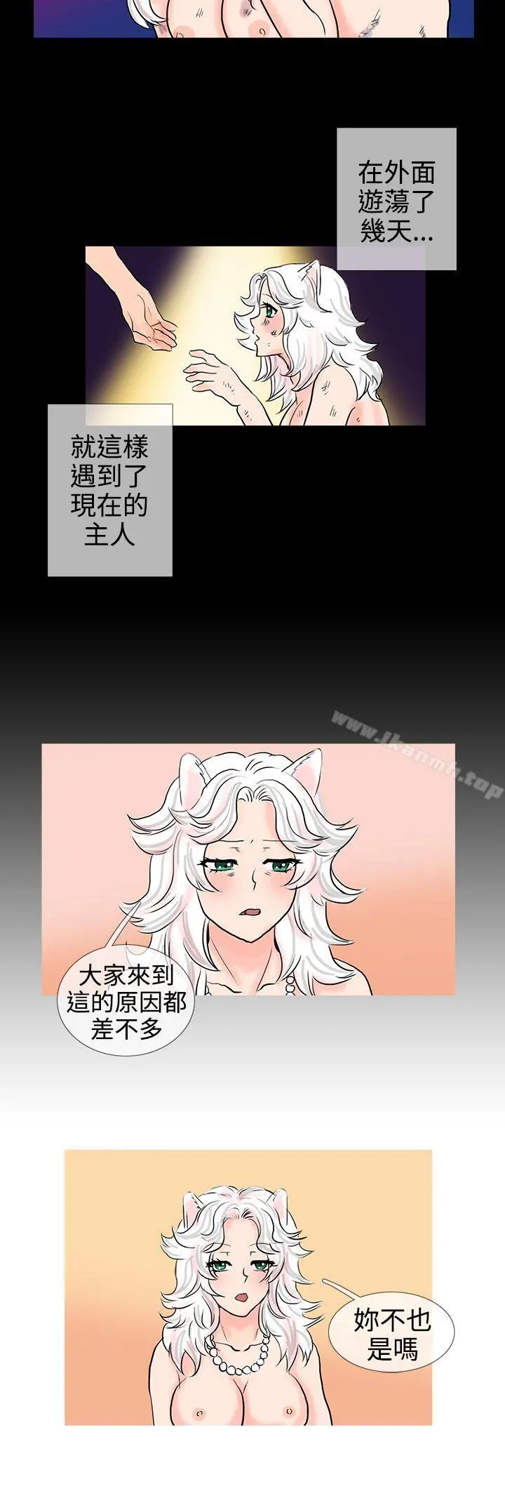 小野猫驯服手册 - 第11话 - page 9