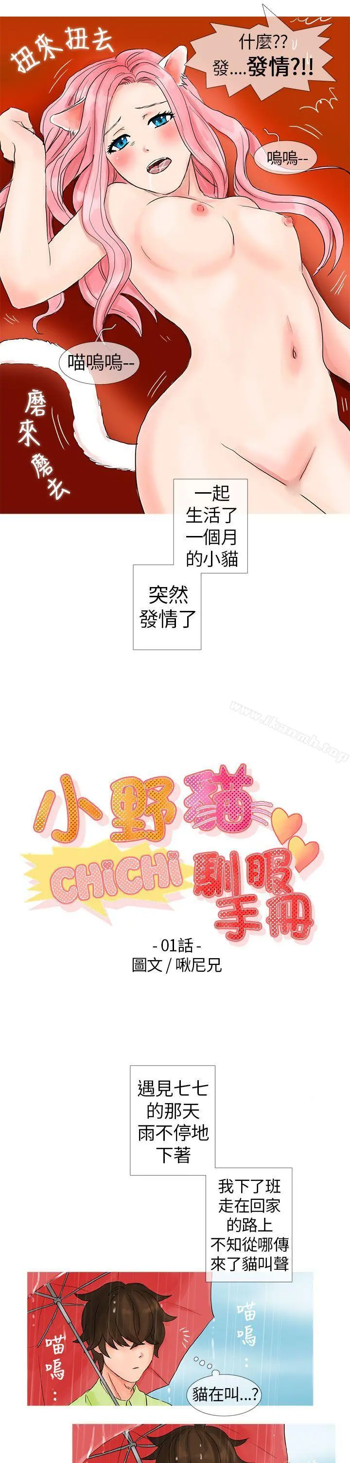 小野猫驯服手册 - 第1话 - page 3