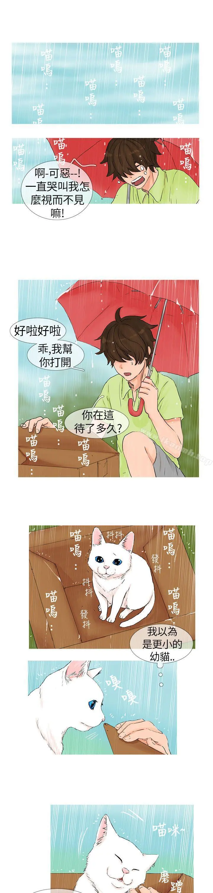 小野猫驯服手册 - 第1话 - page 5