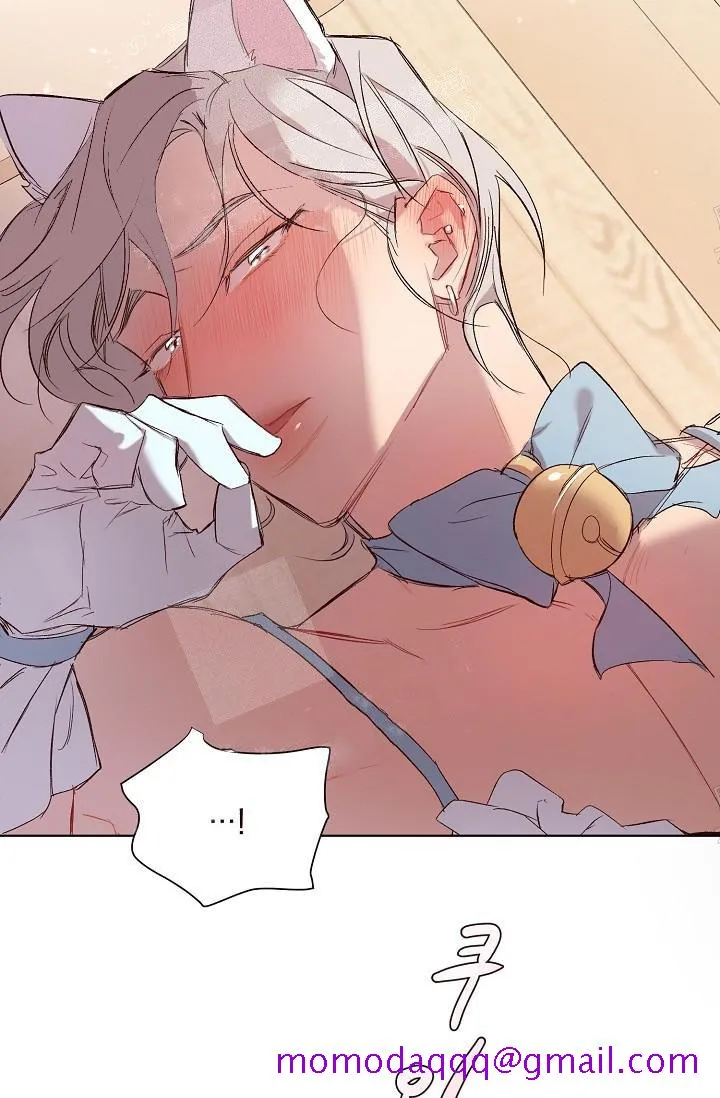 奇妙玩具来袭完结 - 20话 - page 6