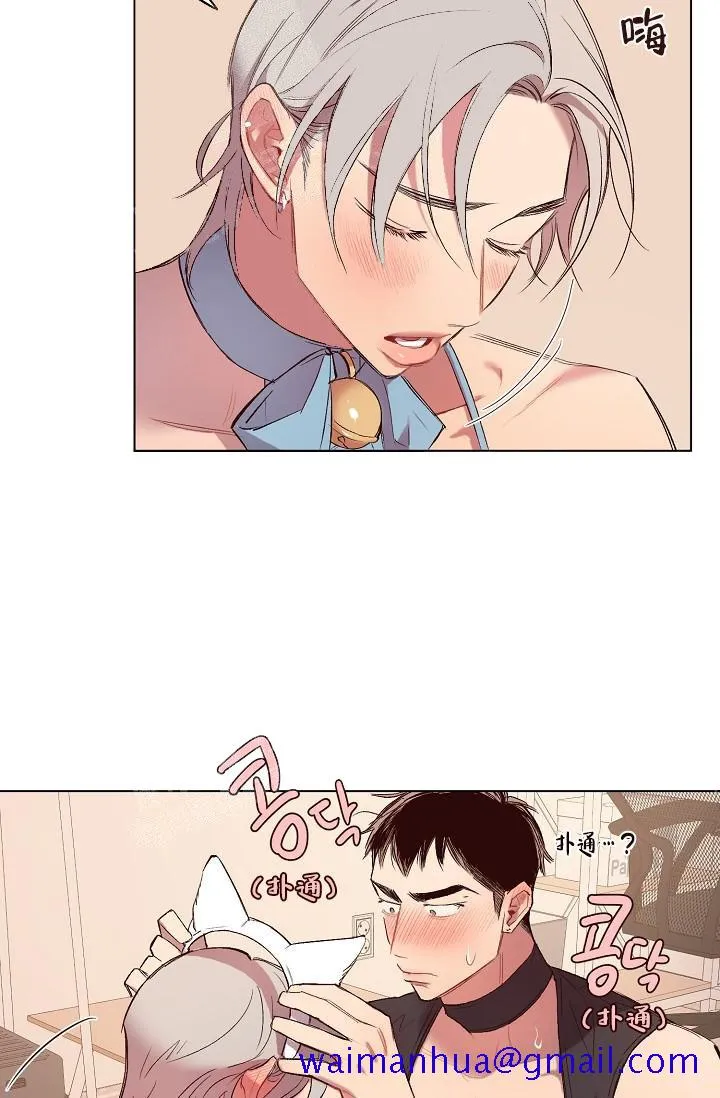 奇妙玩具来袭完结 - 17话 - page 21