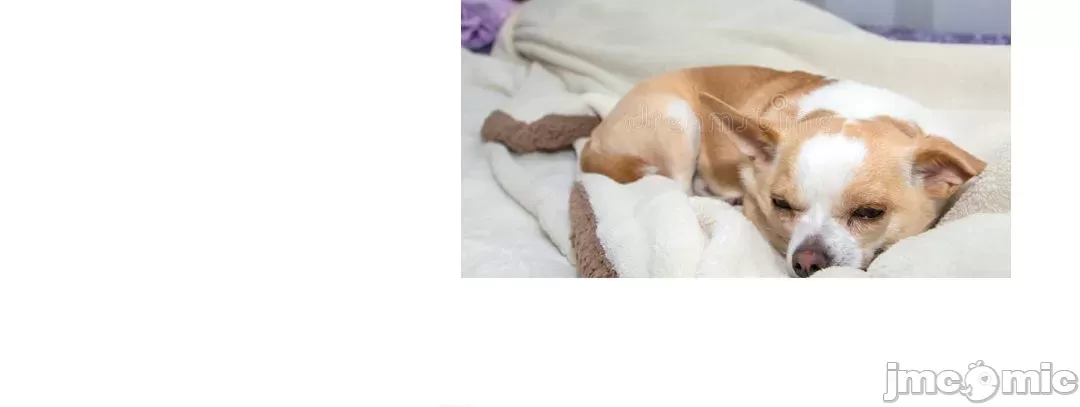 一个变态的日常生活AnotherStory/一个变态的日常生活外传/APervert'sDailyLifeAS/闯进她的生活AS[禁漫汉化组] - 第61章 - page 42