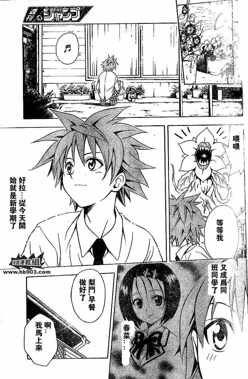 出包王女 - tolove049集 - page 5