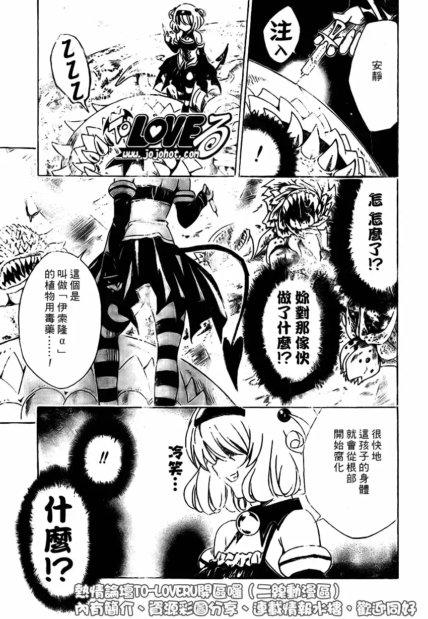出包王女 - tolove127集 - page 3