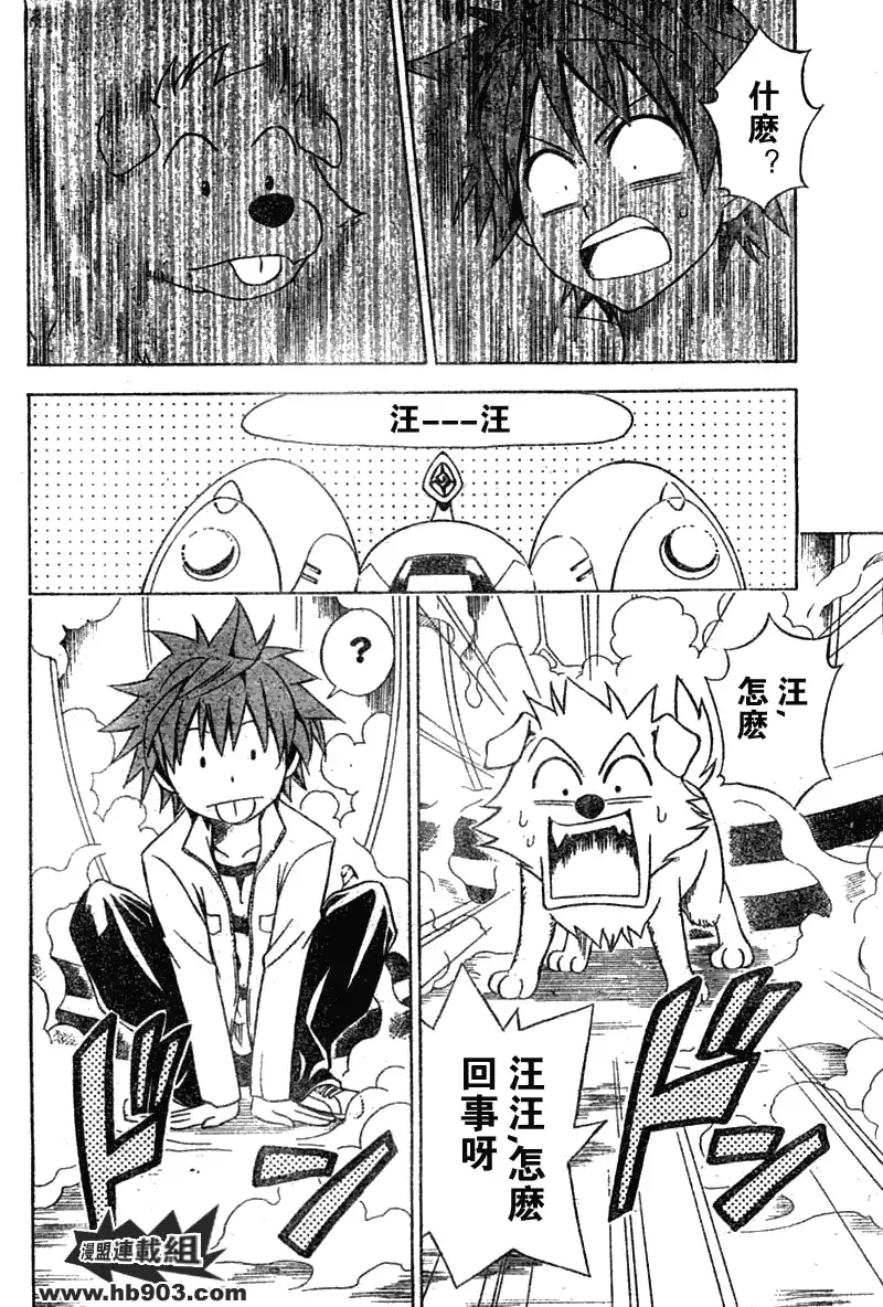出包王女 - tolove043集 - page 4