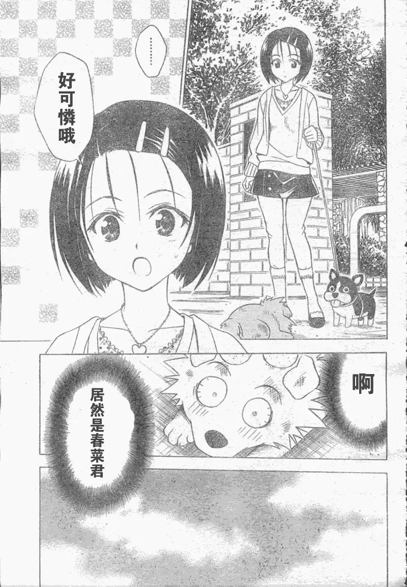 出包王女 - tolove043集 - page 17