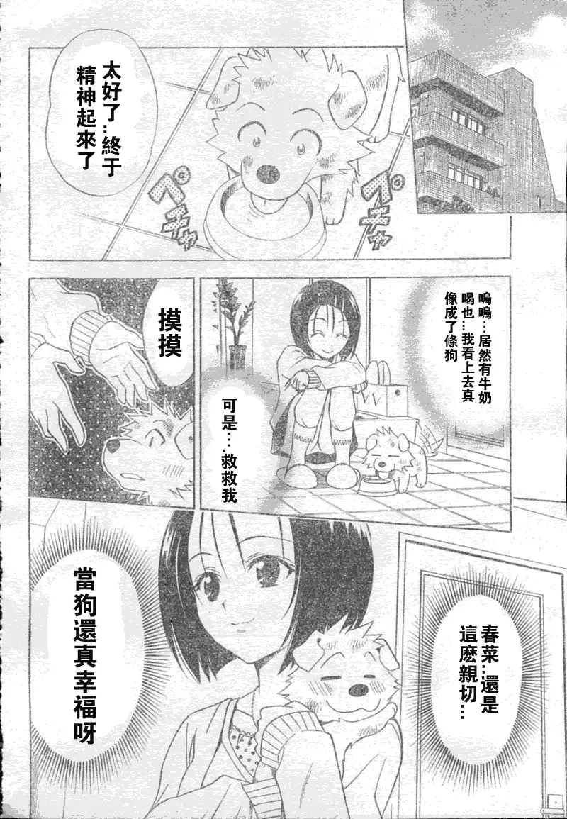 出包王女 - tolove043集 - page 18
