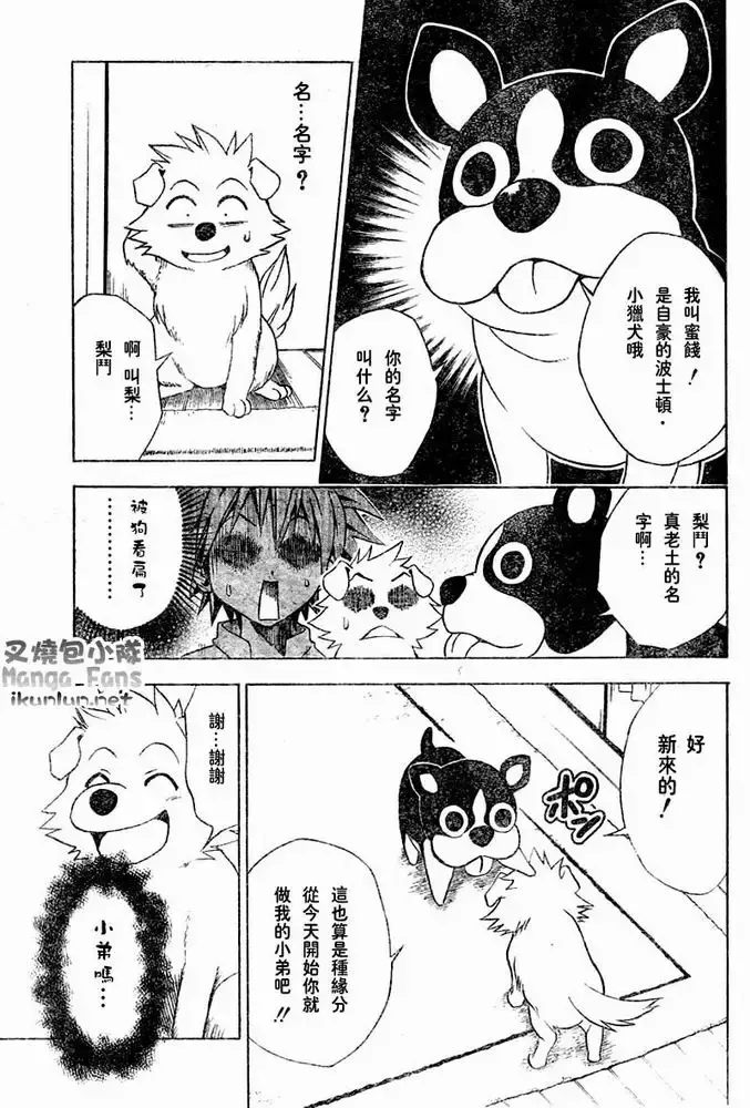 出包王女 - tolove044集 - page 6