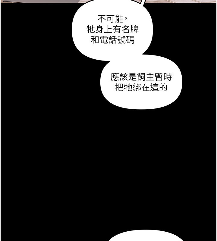 玩转学姊 - 第72話-天降的黃色邀請函 - page 23