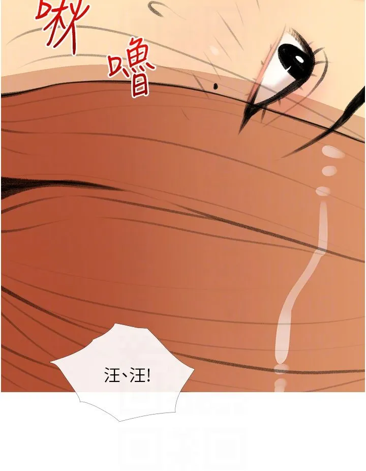 糖果爸爸的抢婚大作战 - 第28話-聽話的母狗有糖吃 - page 28