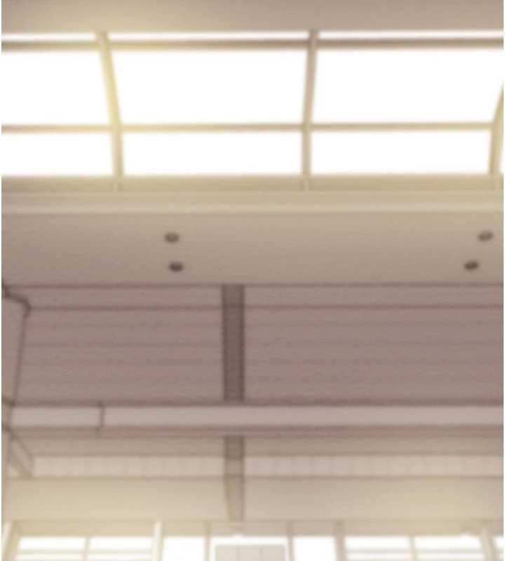 掠夺行动 - 第75話-我是全世界最屌的 - page 236