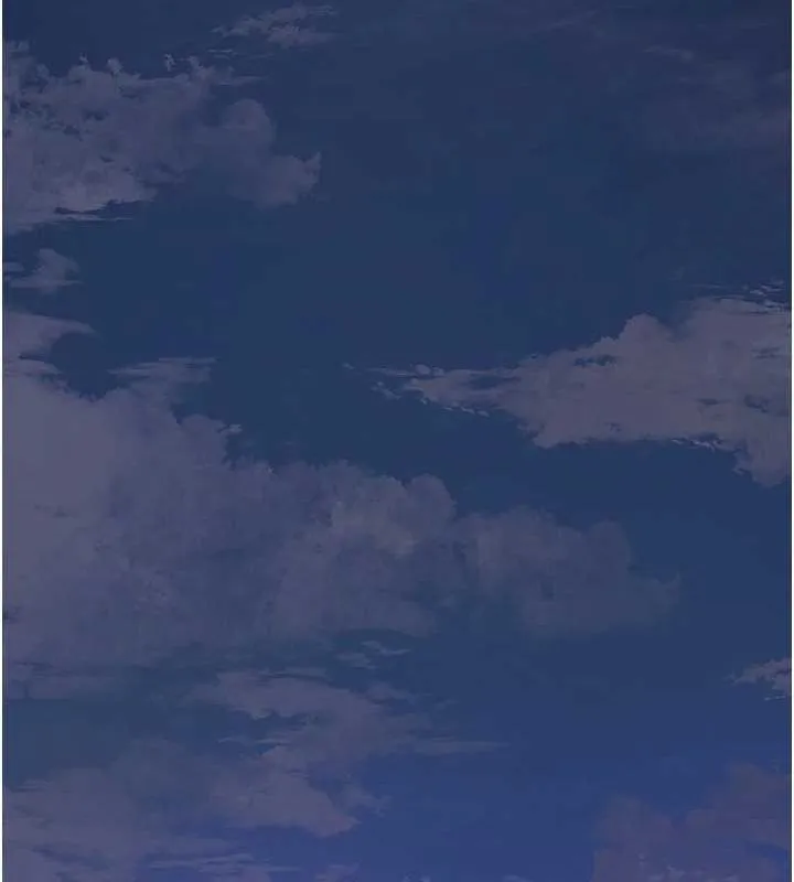 花容湿色:取花点 - 第45話-夫人下面也濕了… - page 42