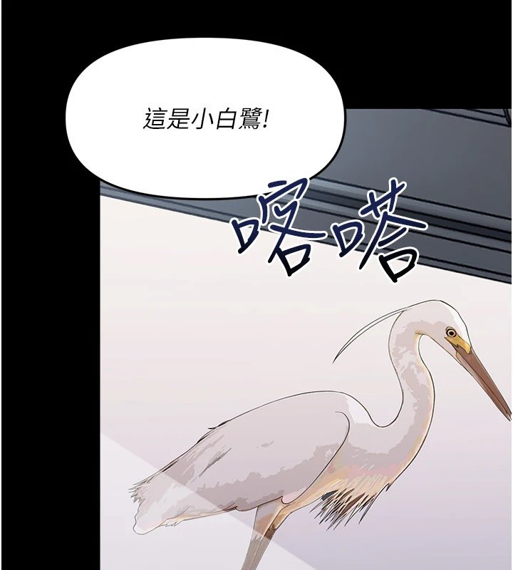 幼惑 - 第1话-长不大的小飞侠 - page 155